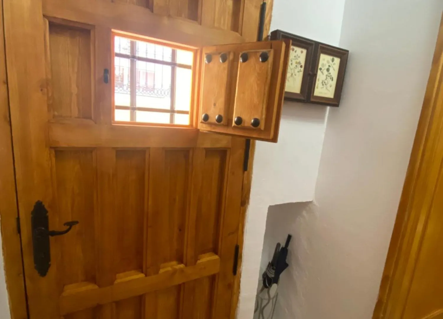 Rosan Daire Málaga